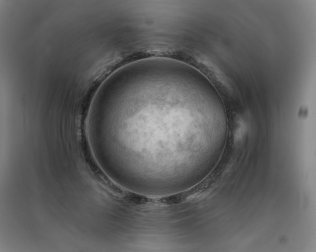 X0000091570696200708201146