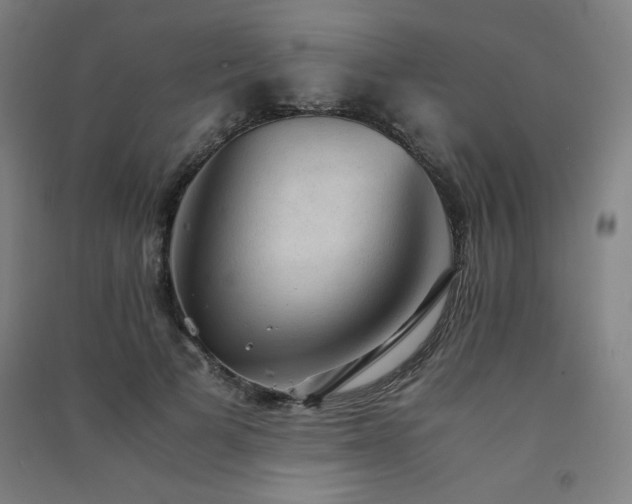 X0000091570697200708201146