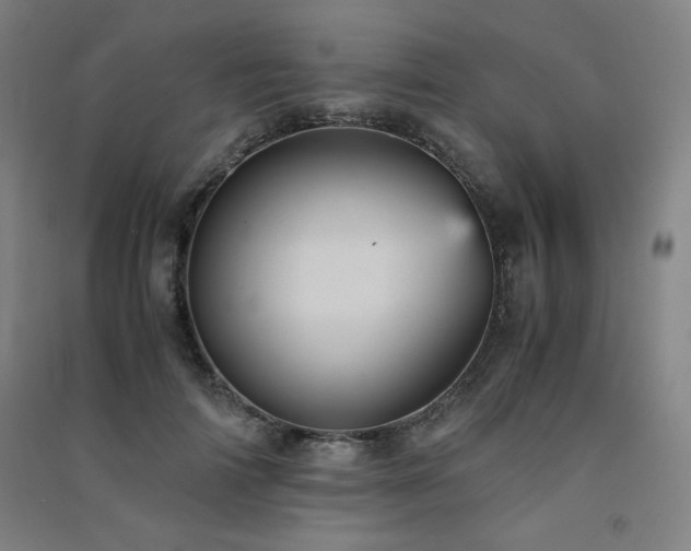 X0000091570698200708201146