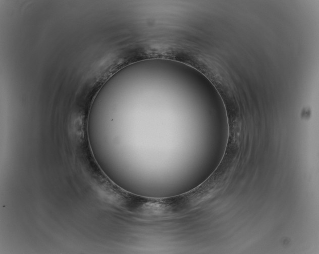 X0000091570699200708201146
