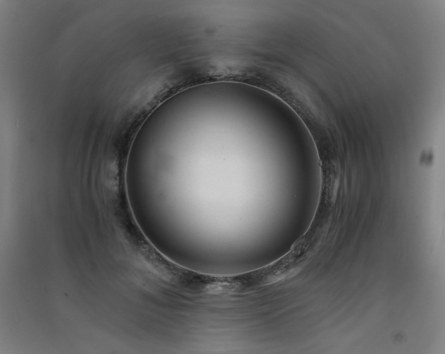X0000091570700200708201146