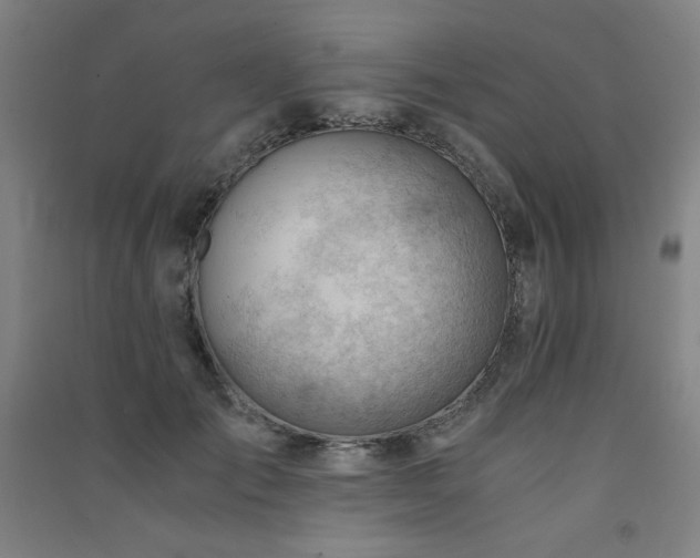 X0000091570701200708201146
