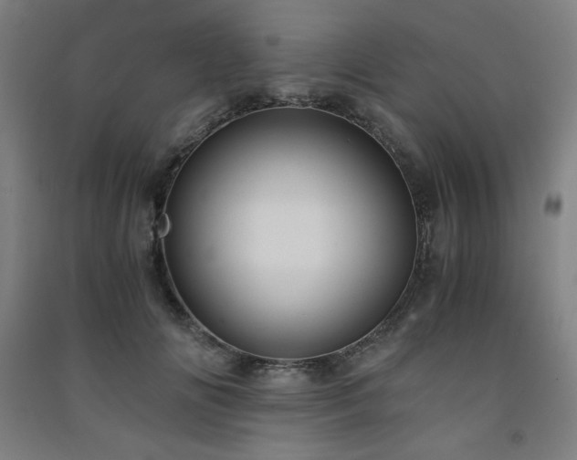 X0000091570702200708201145