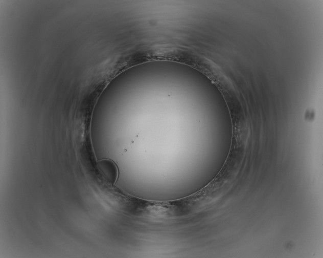 X0000091570703200708201145