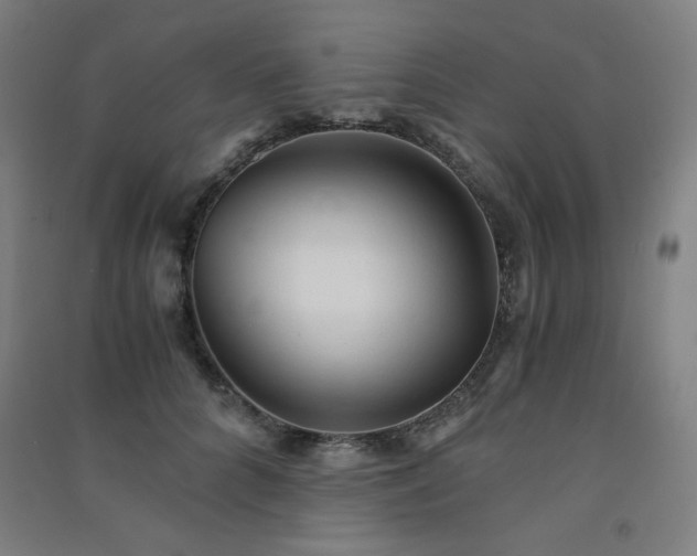 X0000091570704200708201145