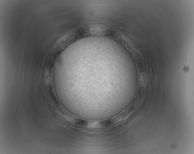 X0000091570705200708201145