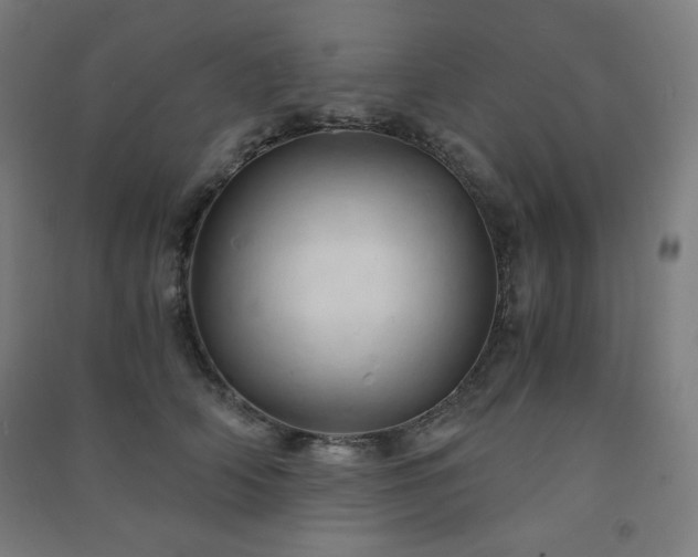 X0000091570706200708201145