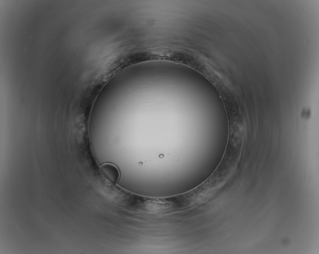 X0000091570707200708201145