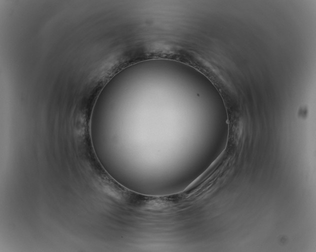 X0000091570708200708201145