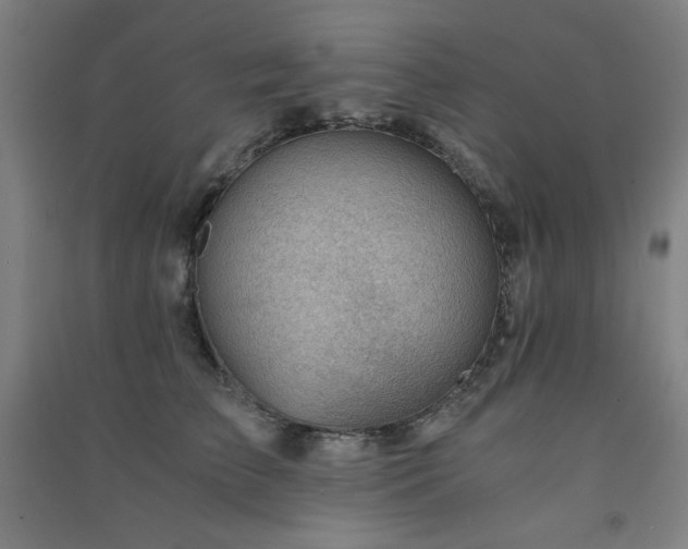 X0000091570709200708201145