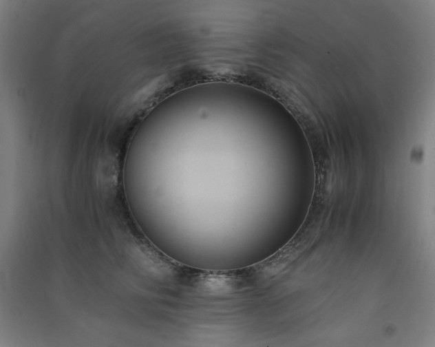 X0000091570710200708201145