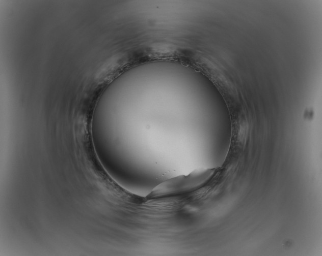 X0000091570711200708201145