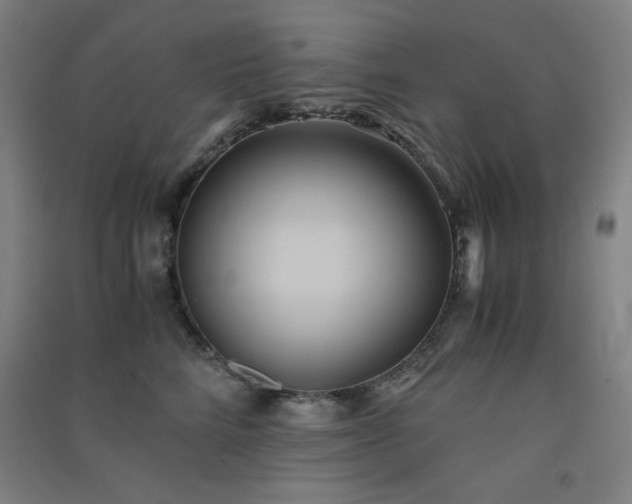 X0000091570712200708201145
