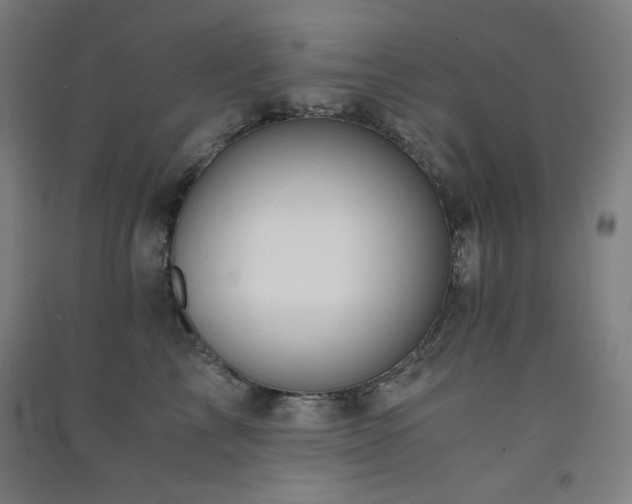 X0000091570713200708201145