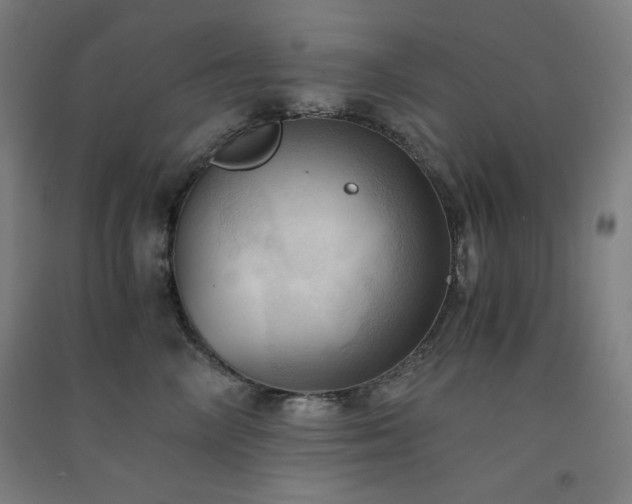 X0000091570714200708201145