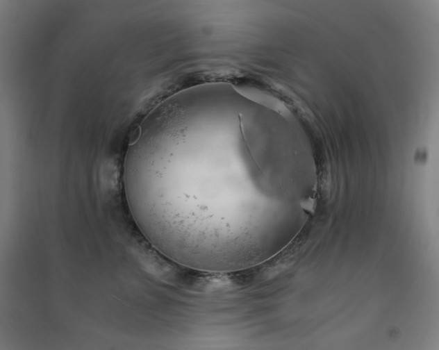 X0000091570715200708201145