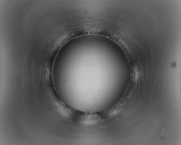 X0000091570716200708201145