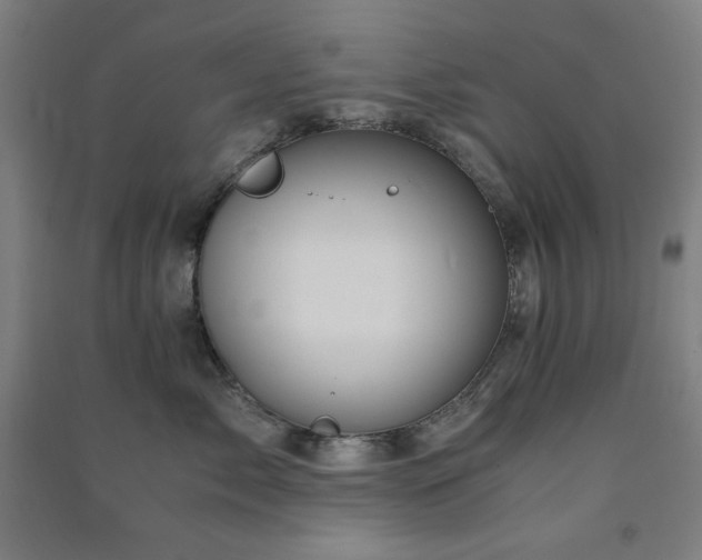 X0000091570717200708201145