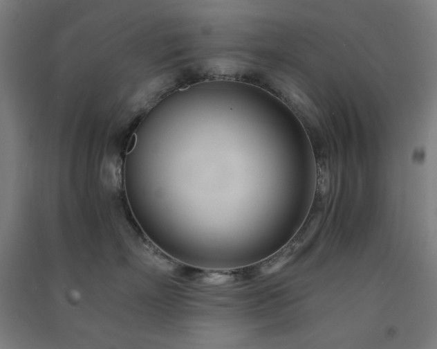 X0000091570718200708201145