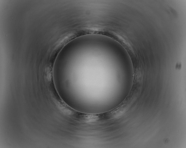 X0000091570719200708201145