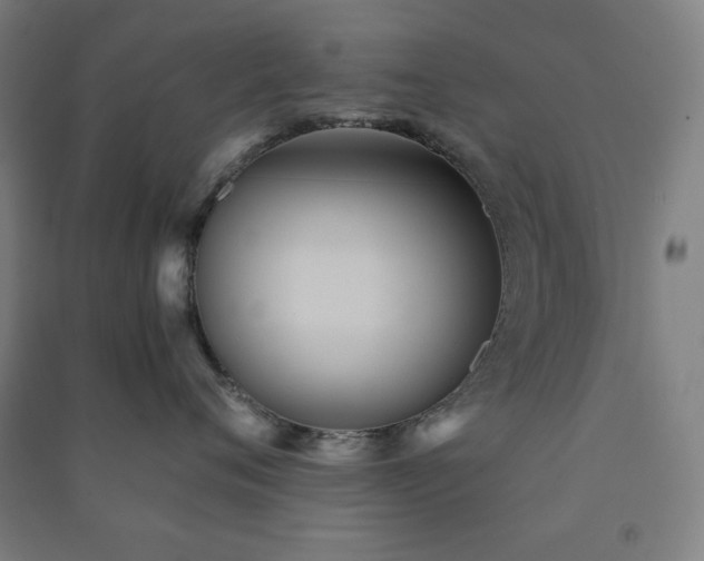 X0000091570720200708201145