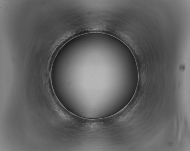 X0000091570721200708201145