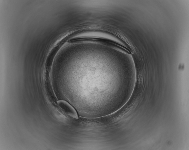 X0000091570722200708201145