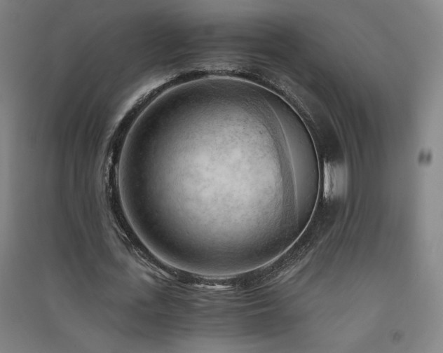 X0000091570723200708201145