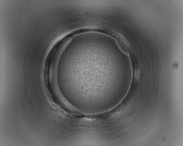 X0000091570724200708201145