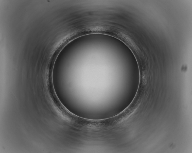 X0000091570725200708201145