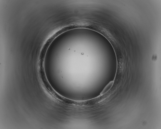 X0000091570726200708201145
