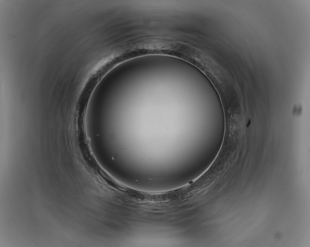 X0000091570727200708201145