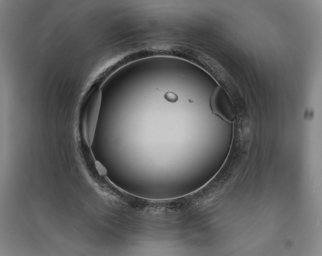 X0000091570728200708201145