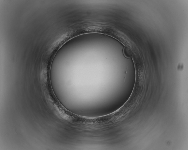 X0000091570729200708201145