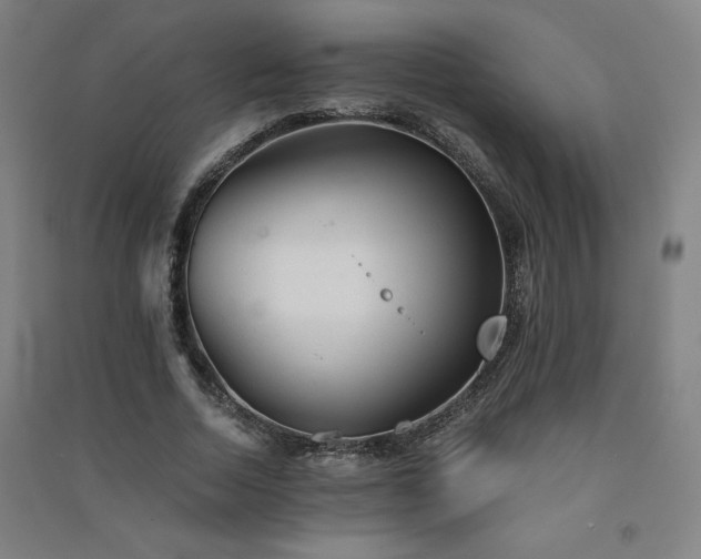 X0000091570730200708201145