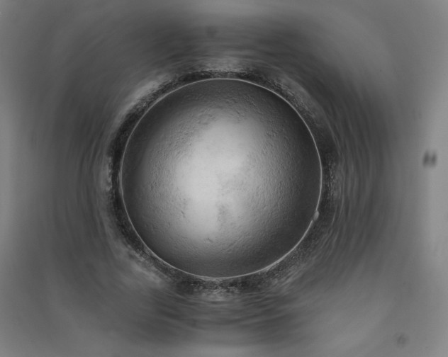 X0000091570731200708201145