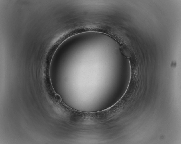 X0000091570732200708201145