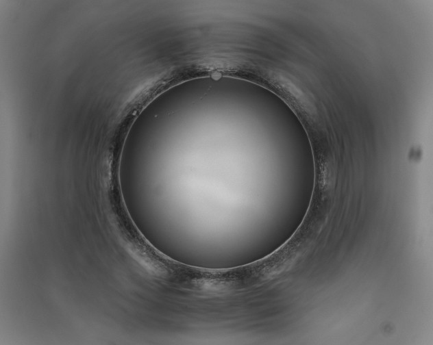 X0000091570733200708201145