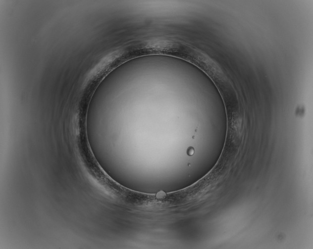 X0000091570734200708201145