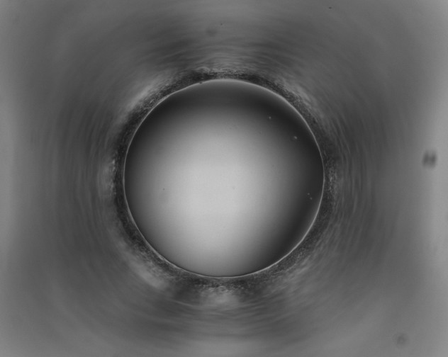 X0000091570735200708201145