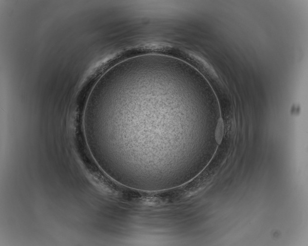 X0000091570736200708201145