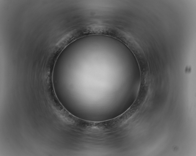 X0000091570737200708201145