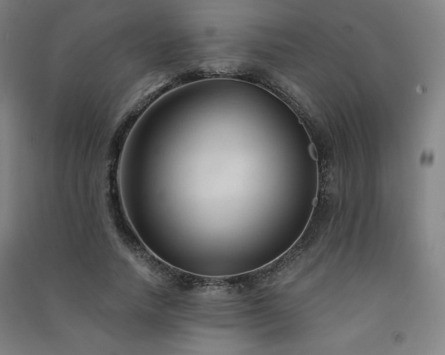 X0000091570738200708201145