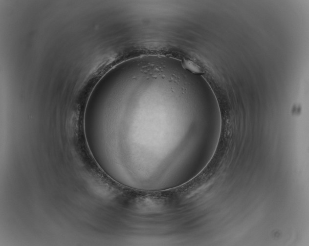 X0000091570739200708201145