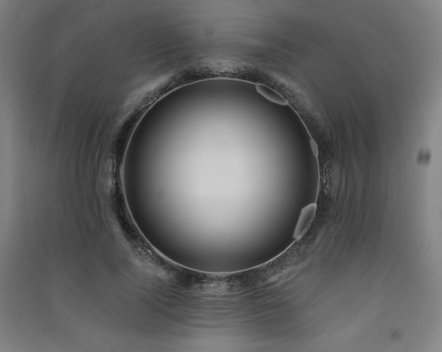 X0000091570740200708201145