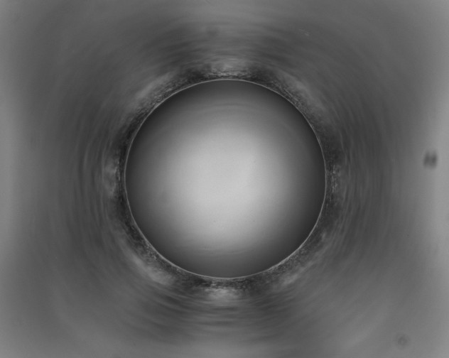X0000091570741200708201145