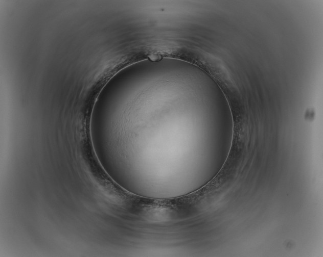 X0000091570743200708201145