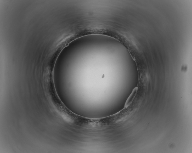 X0000091570744200708201145