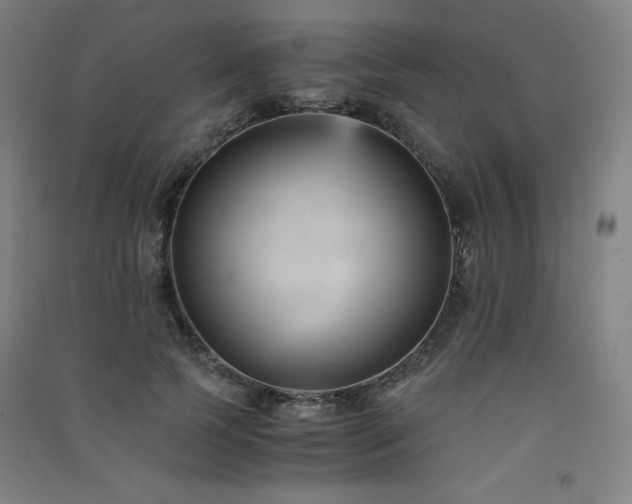 X0000091570745200708201145