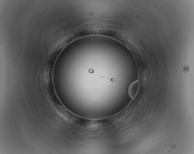 X0000091570746200708201145